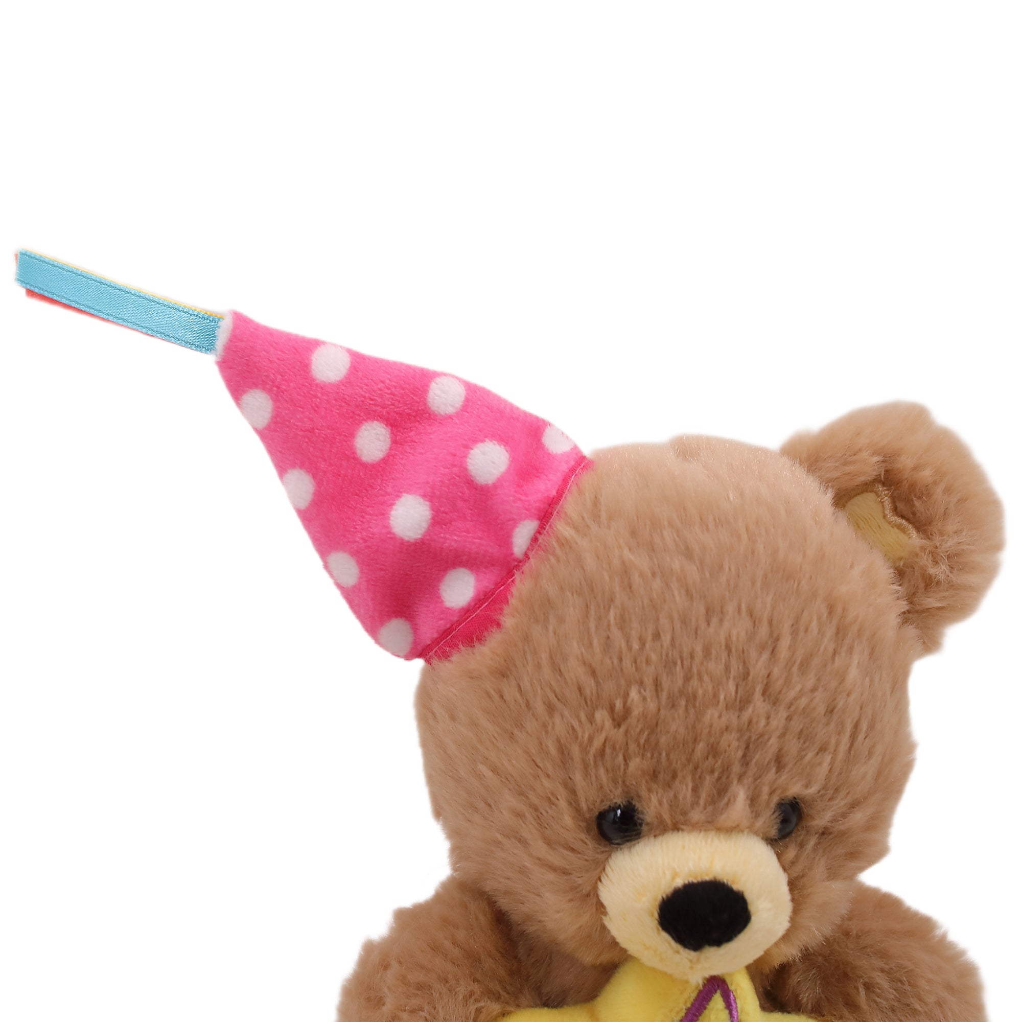 Birthday Star Bear with Hat 8"