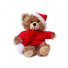 Xmas Mocha Bear with Personalized Shirt 6