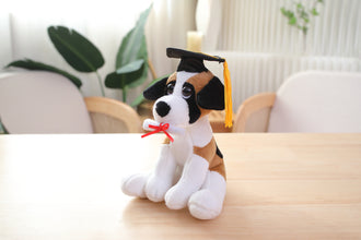 Plushland Cuddly Dog Toy, Graduation Cap and Diploma Stuffed Animal Plush Toys, for Graduation Day 8 Inch