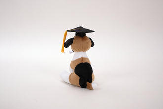 Plushland Cuddly Dog Toy, Graduation Cap and Diploma Stuffed Animal Plush Toys, for Graduation Day 8 Inch