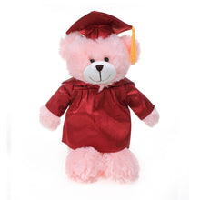 12'' Graduation Pink Bear Plush Stuffed Animal Toys with Cap and Personalized Gown 12''