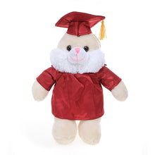 12'' Graduation Bunny Plush Stuffed Animal Toys with Cap and Personalized Gown 12''