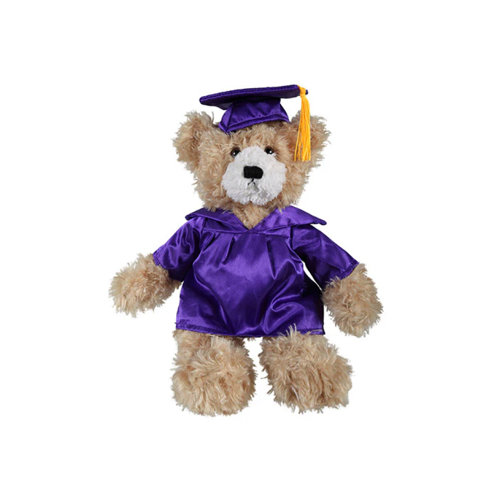 Graduation Brandon Teddy Bear 12"