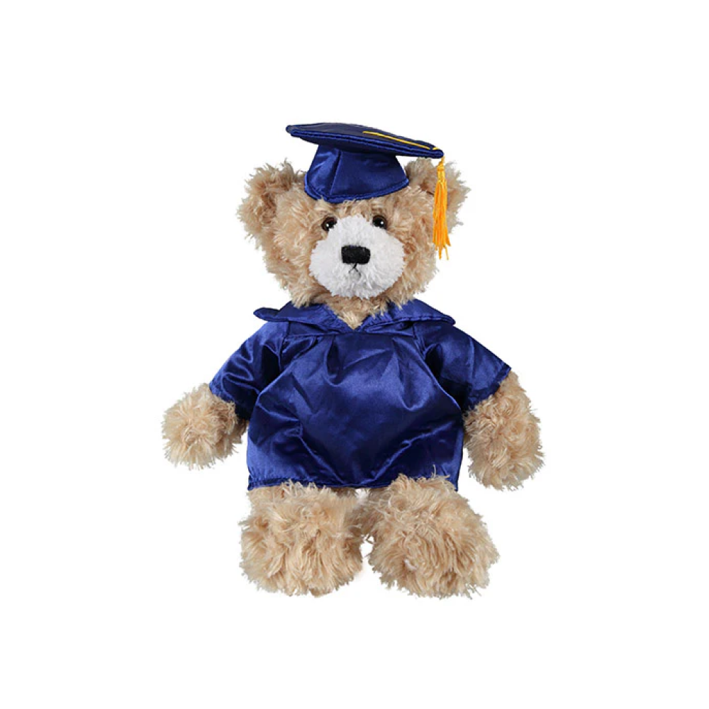 Graduation Brandon Teddy Bear 12"