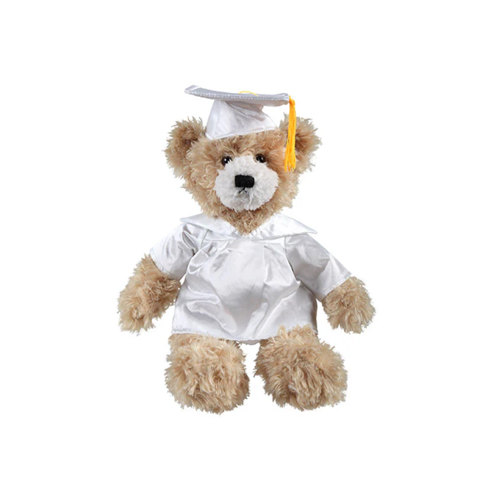 Graduation Brandon Teddy Bear 12"