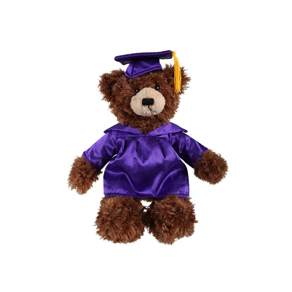 Graduation Brandon Teddy Bear 12"