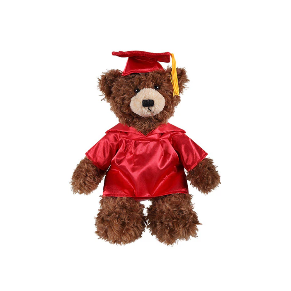 Graduation Brandon Teddy Bear 12"