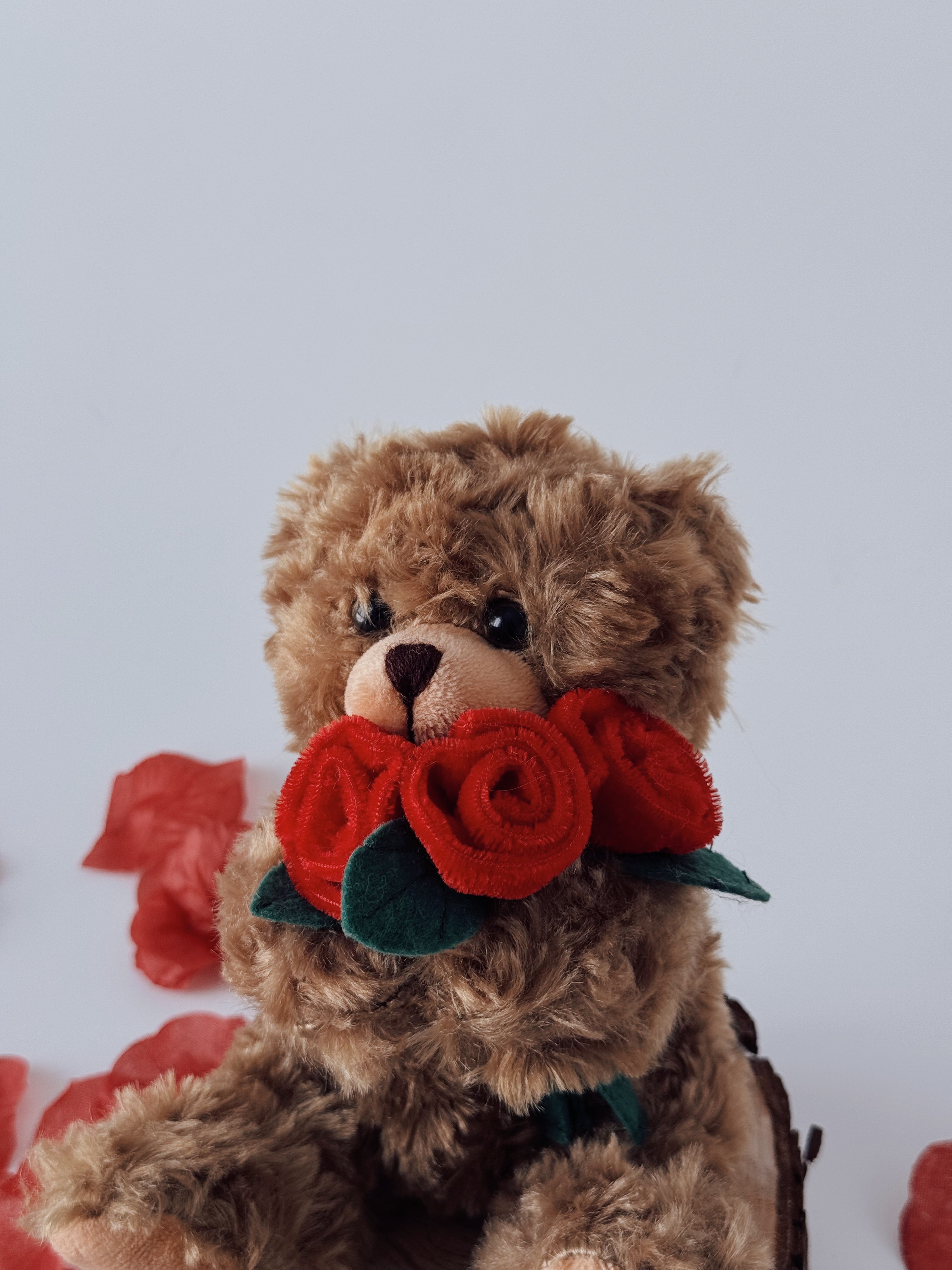 Mocha Rose Bear 6''