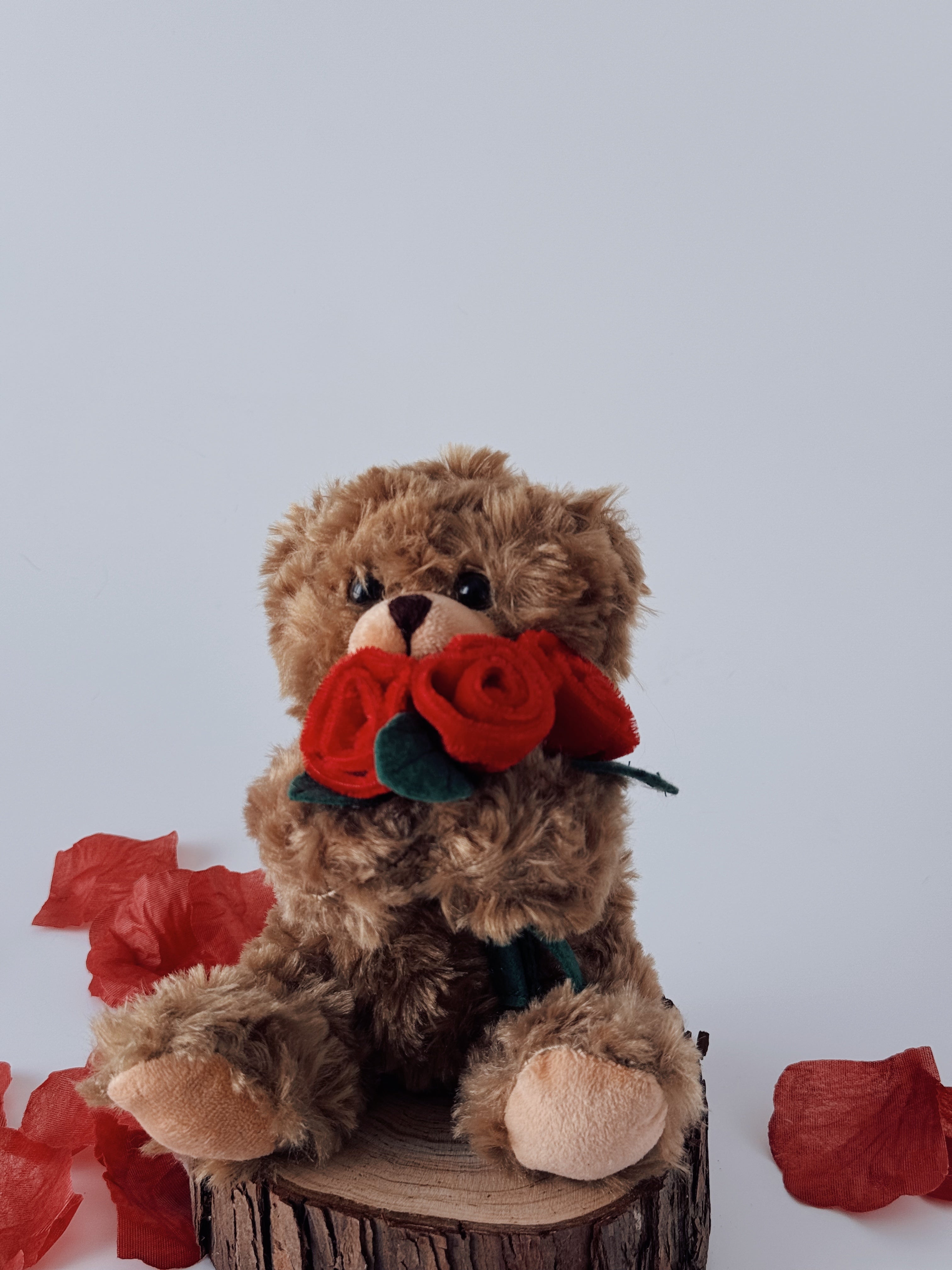 Mocha Rose Bear 6''