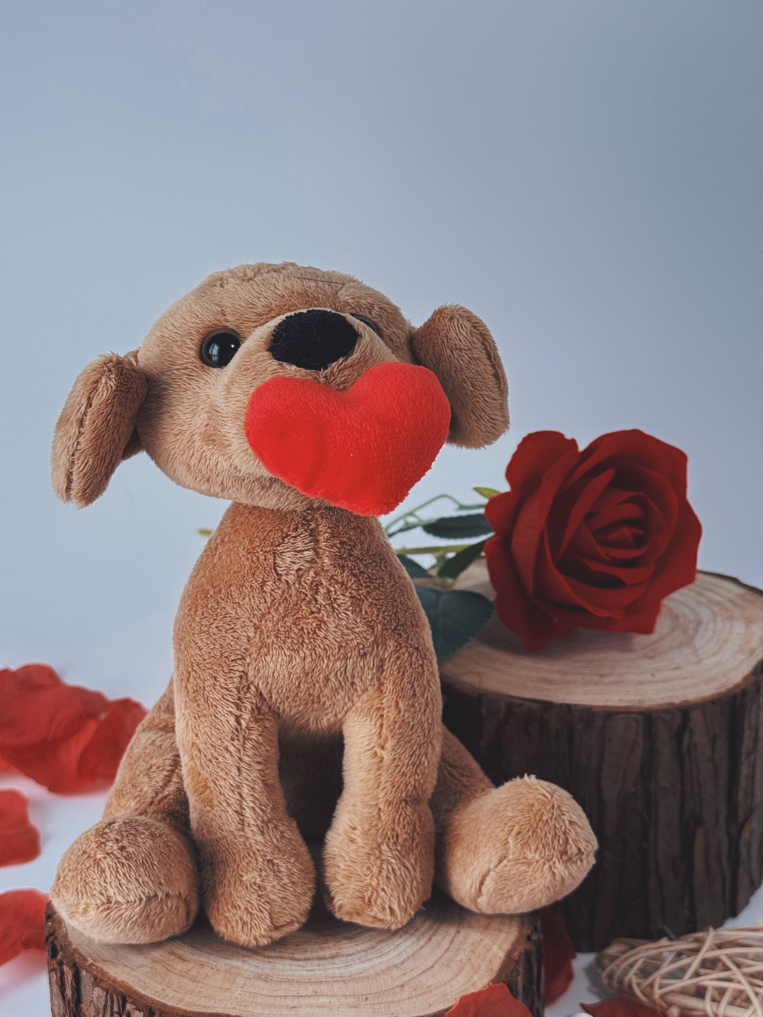 Valentine Pawpals Dog 8''