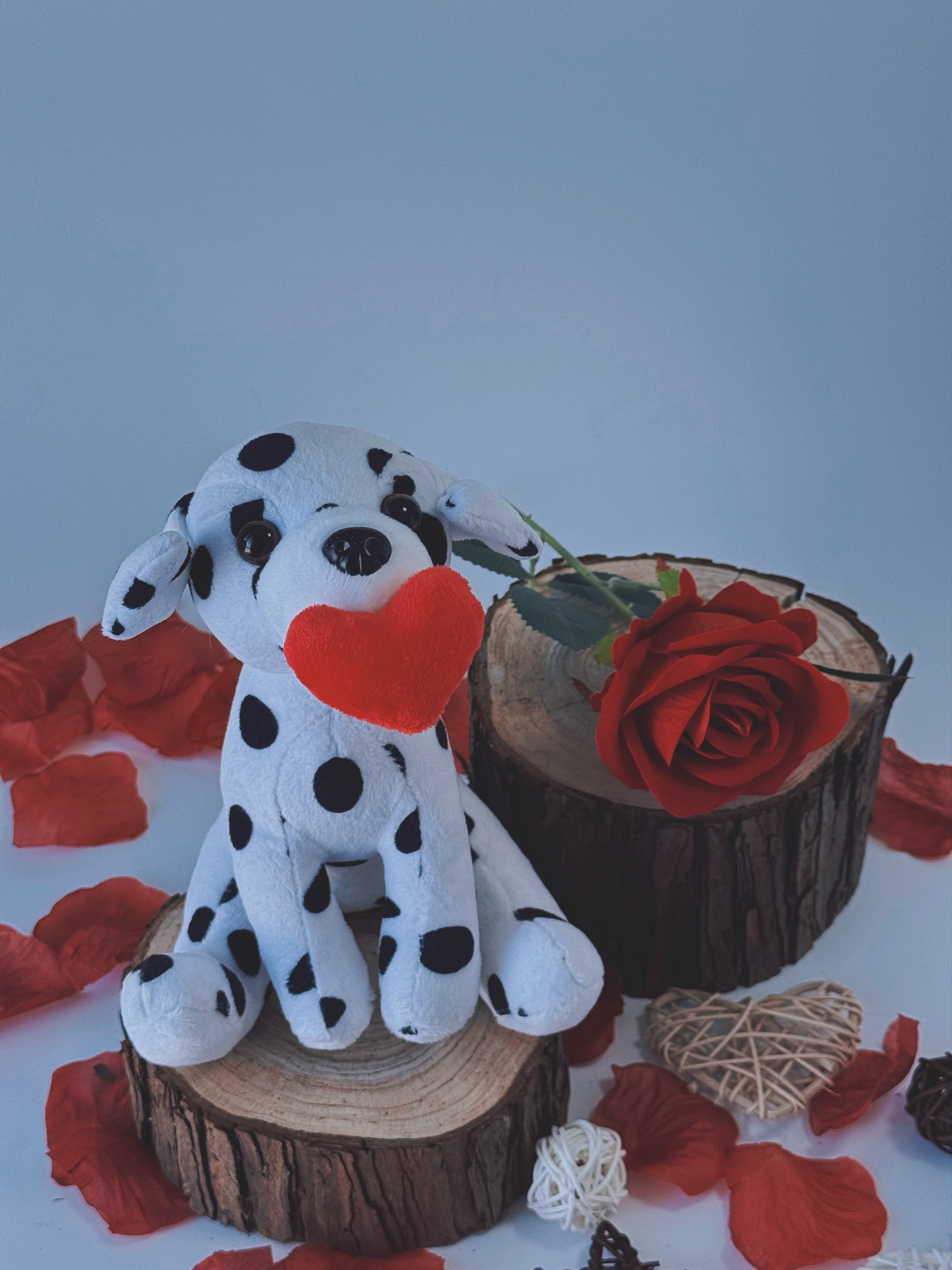 Valentine Pawpals Dog 8''