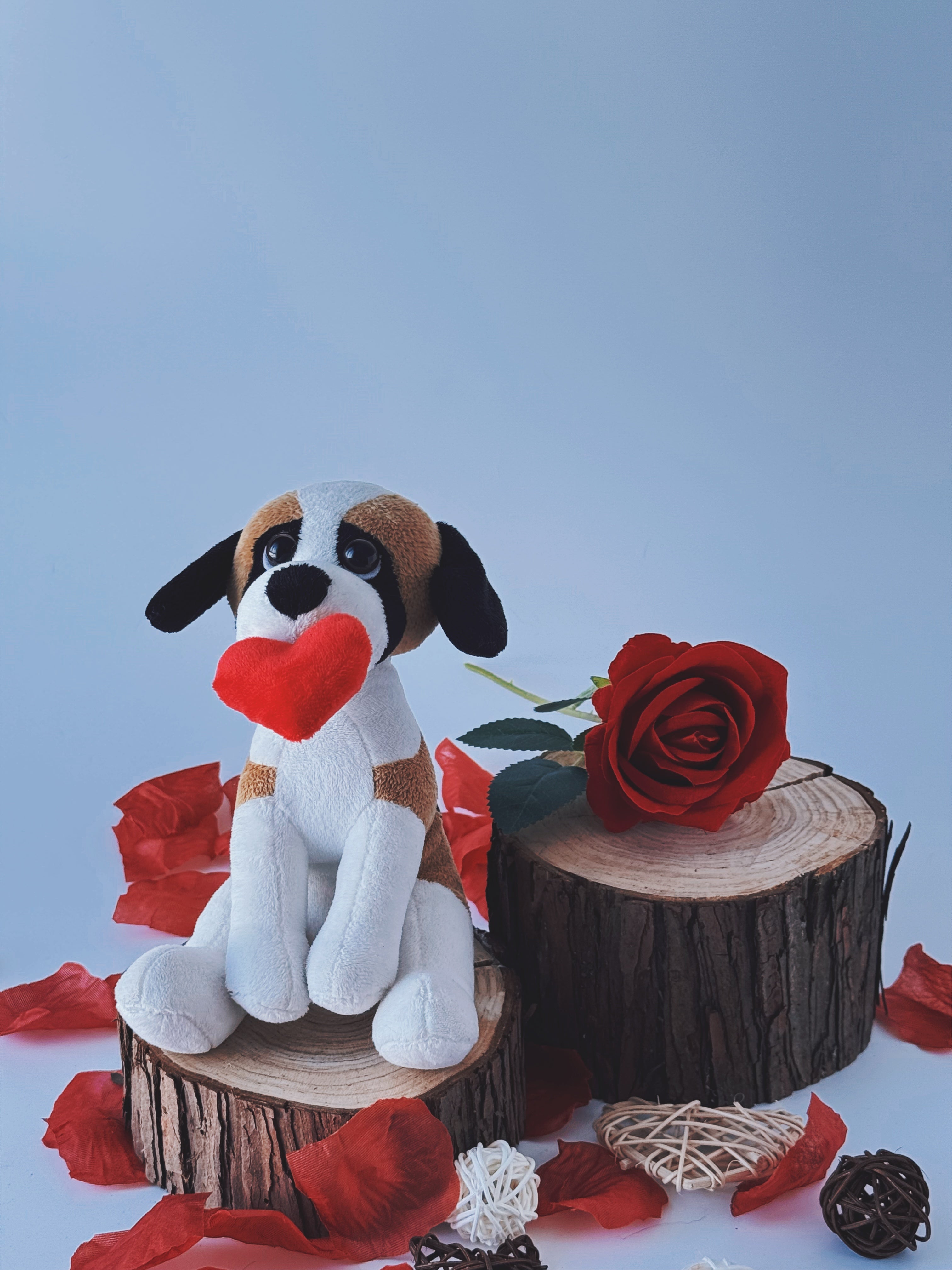 Valentine Pawpals Dog 8''