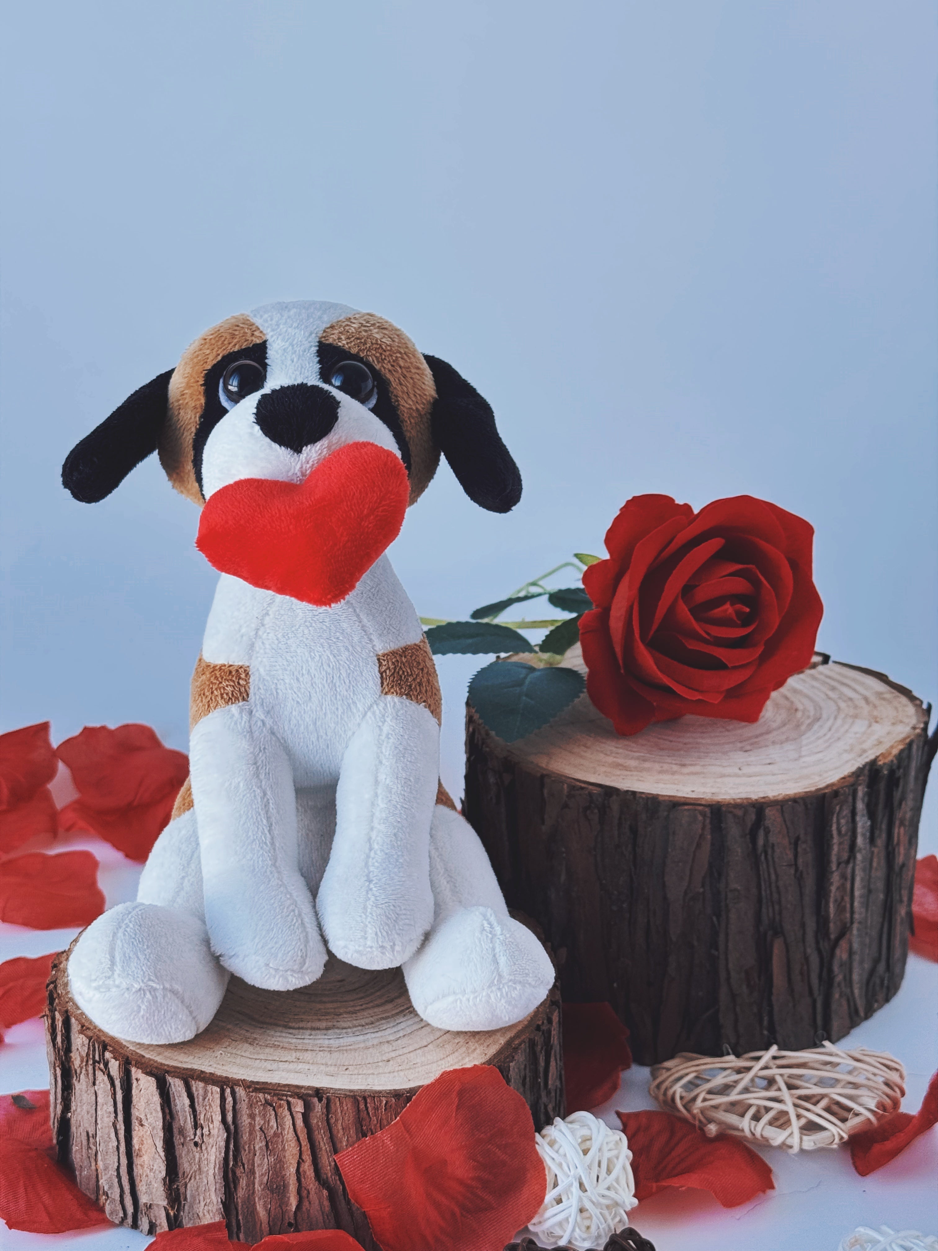 Valentine Pawpals Dog 8''