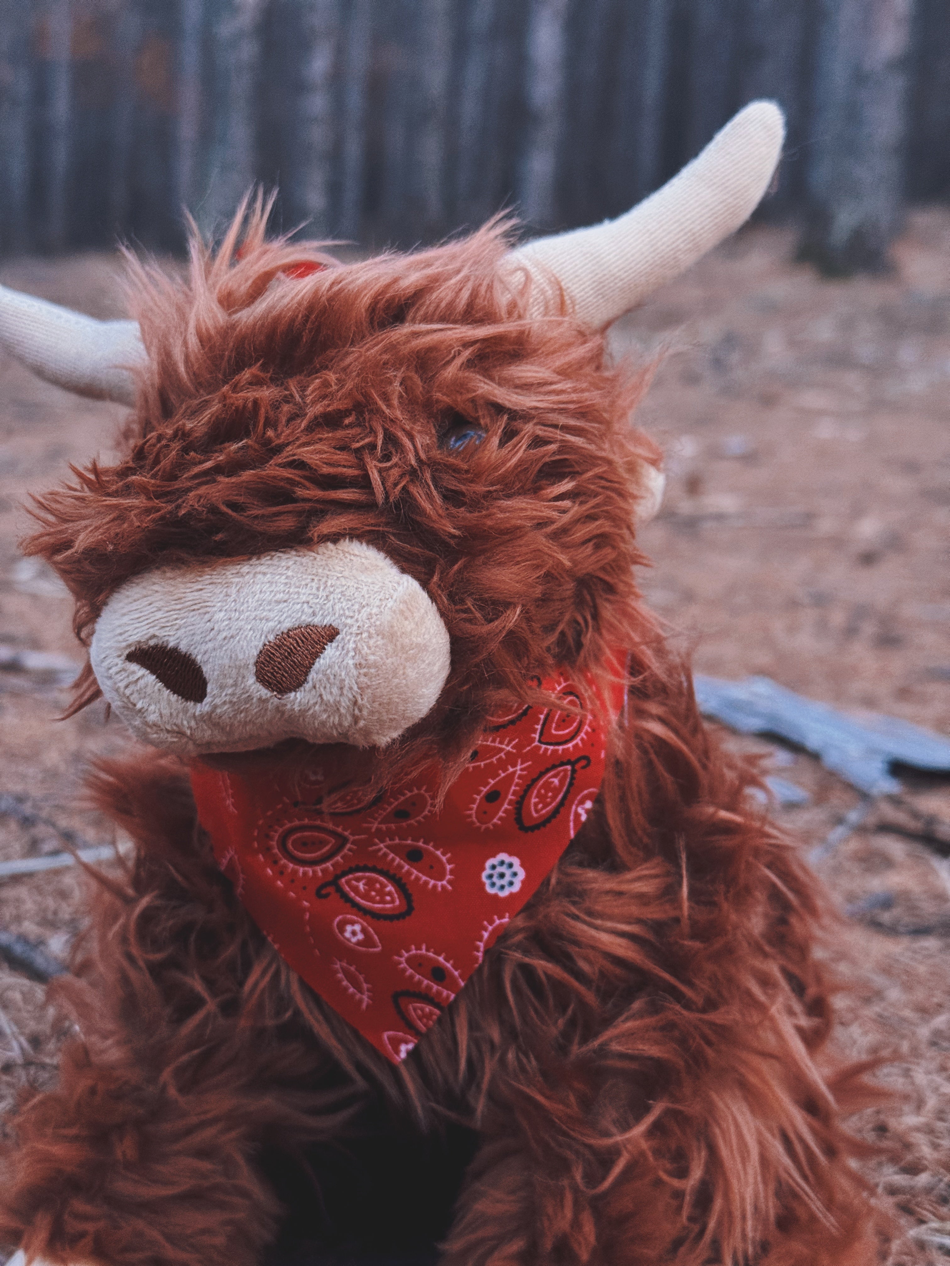 Highland Cow with Moo Soun 10"