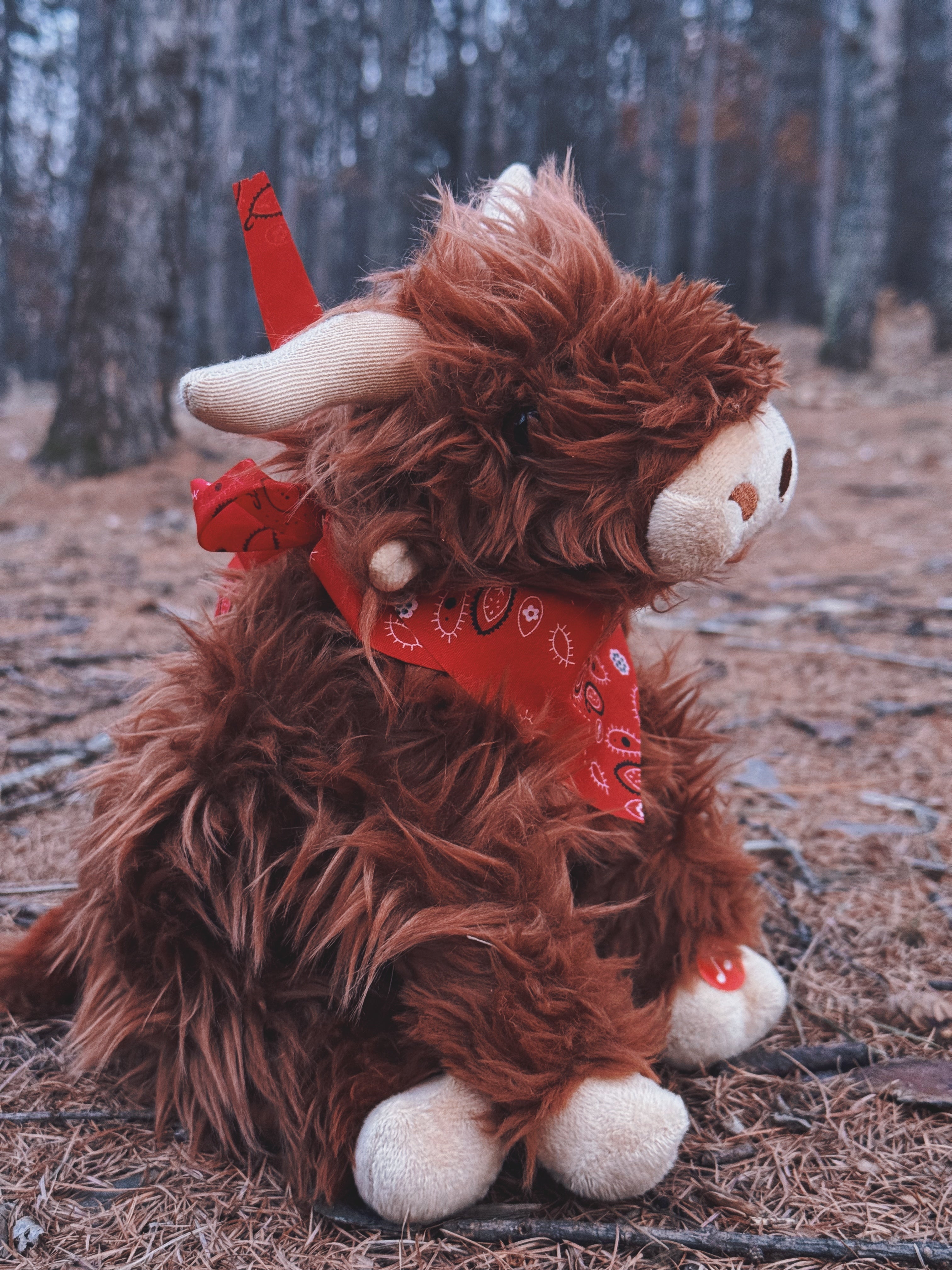 Highland Cow with Moo Soun 10"