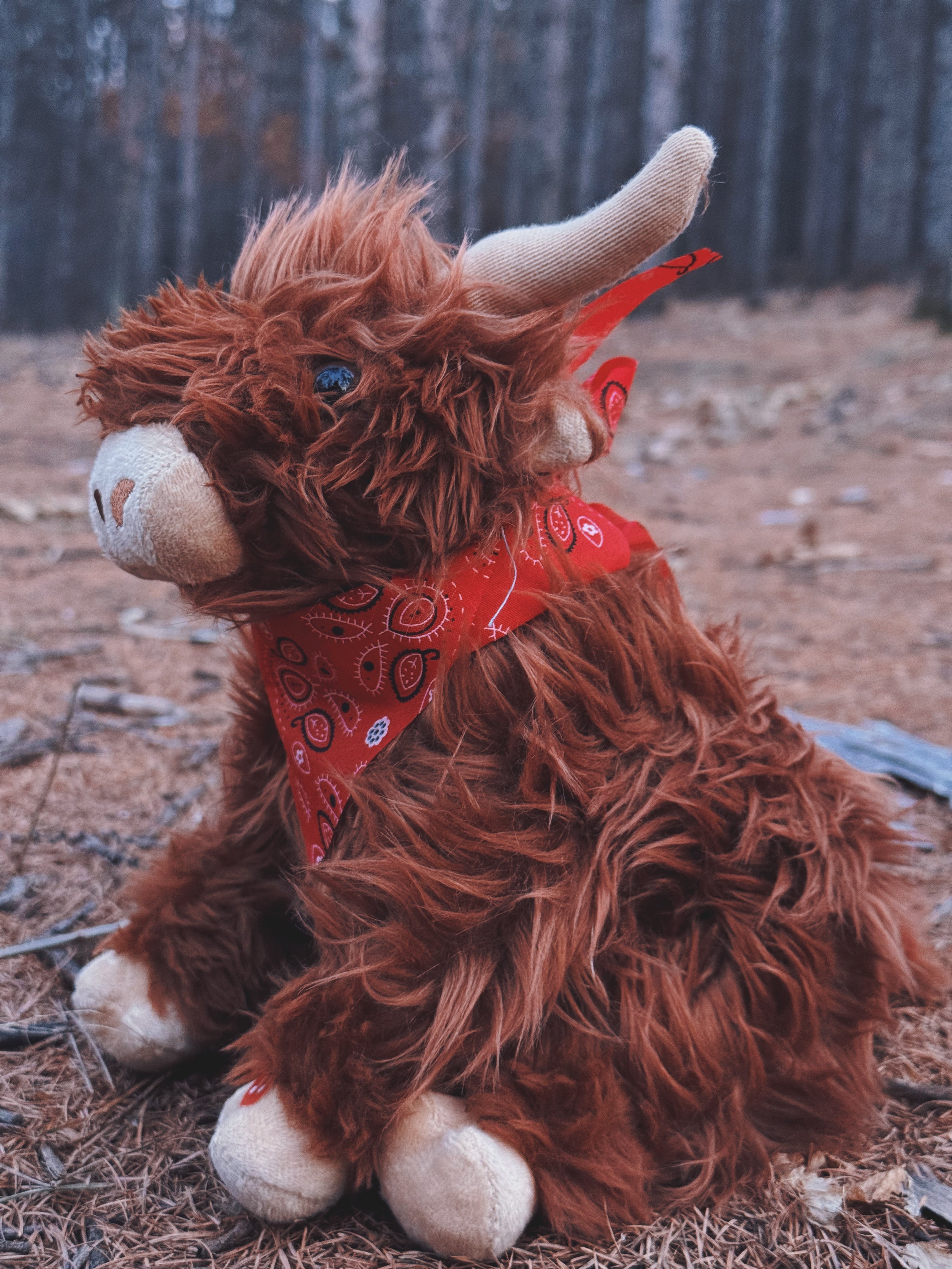 Highland Cow with Moo Soun 10"