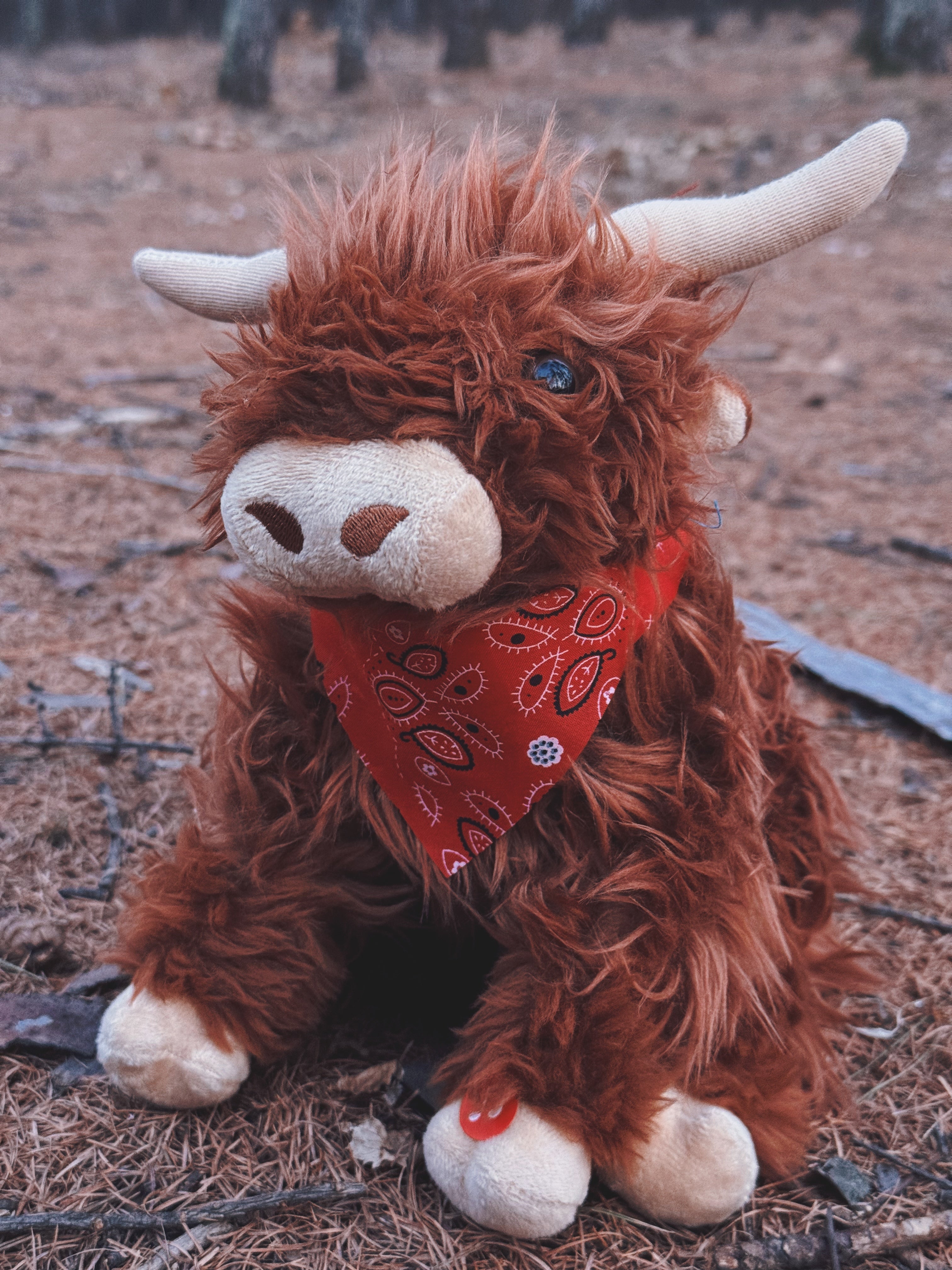 Highland Cow with Moo Soun 10"