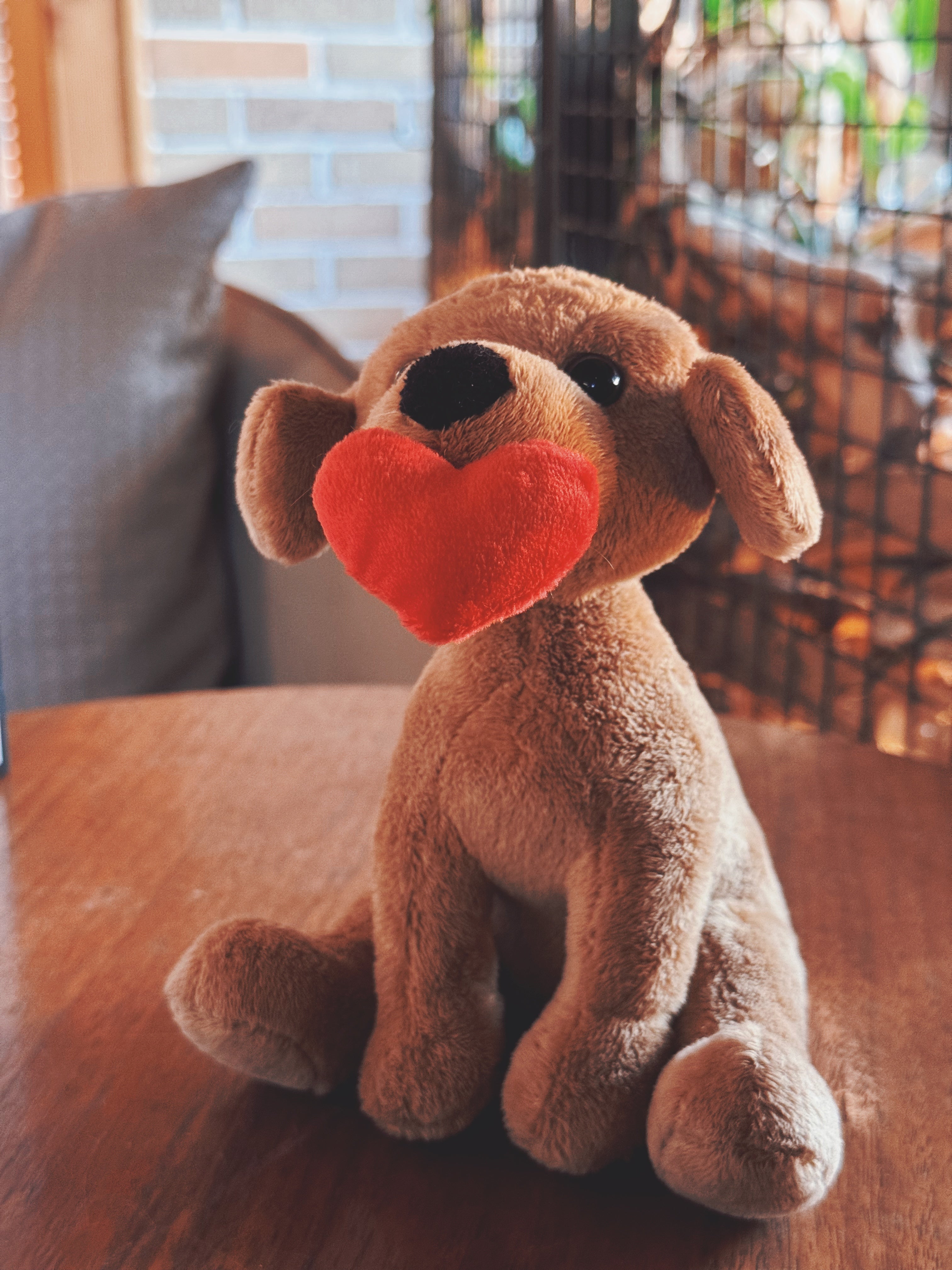 Valentine Pawpals Dog 8''