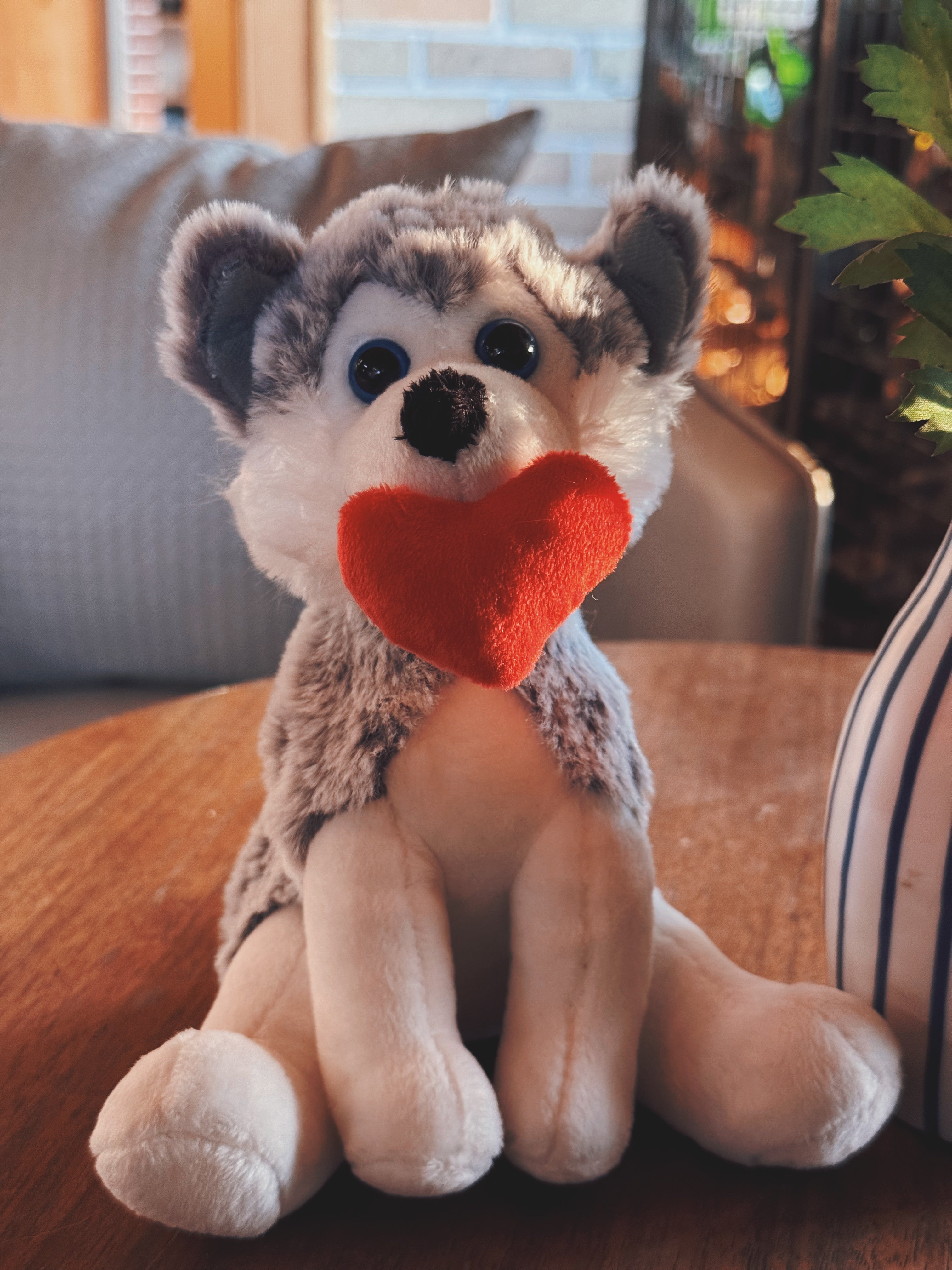 Valentine Pawpals Dog 8''