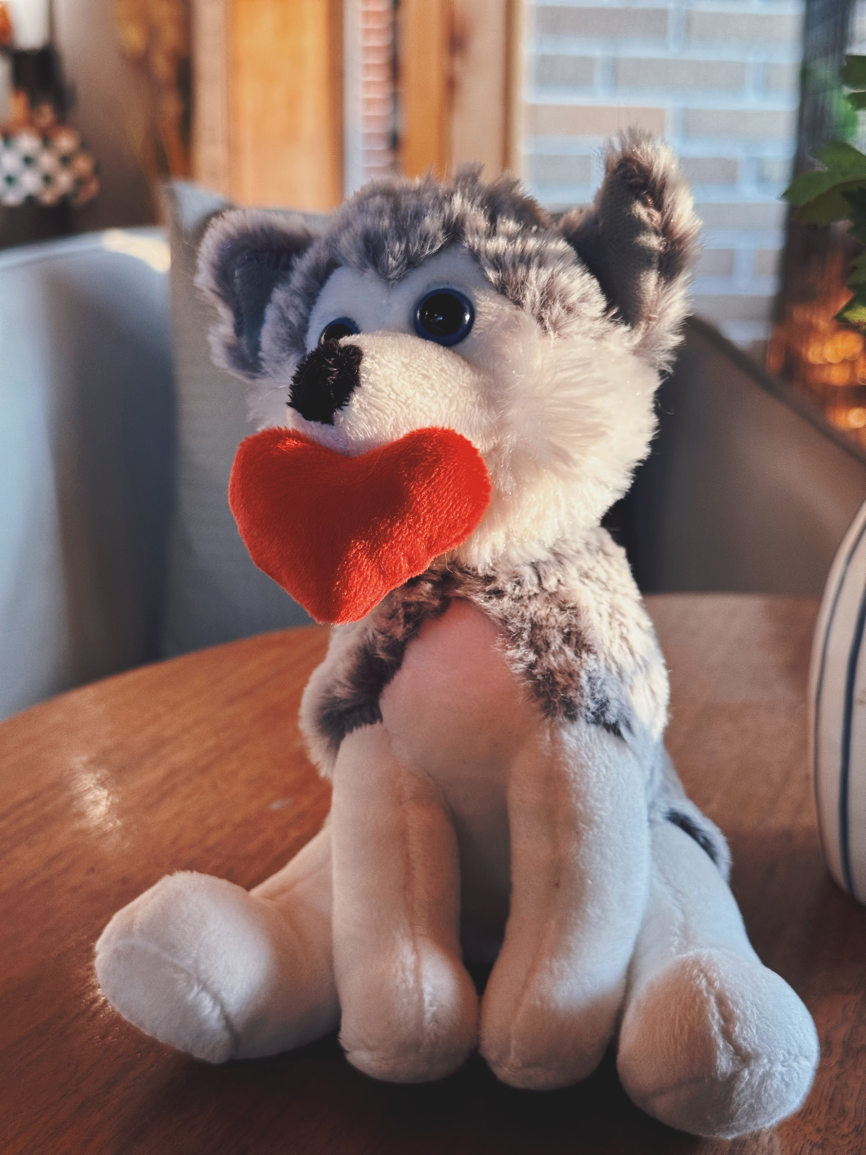 Valentine Pawpals Dog 8''