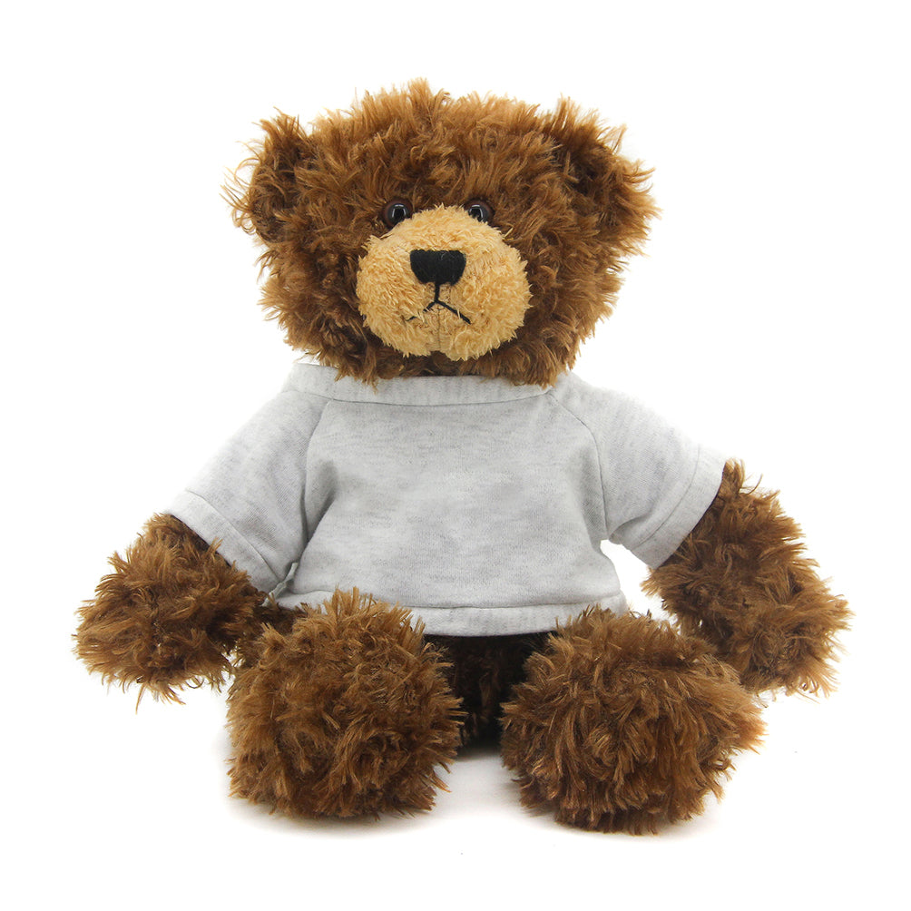 Brandon Chocolate Teddy Bear - 11"