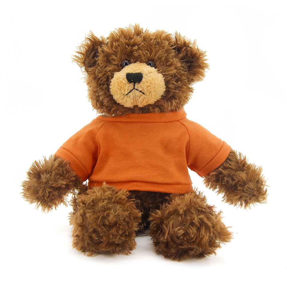 Brandon Chocolate Teddy Bear - 11"