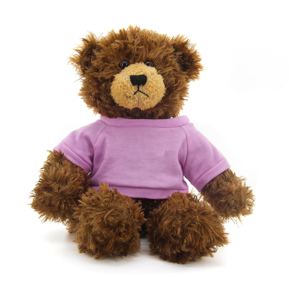 Brandon Chocolate Teddy Bear - 11"