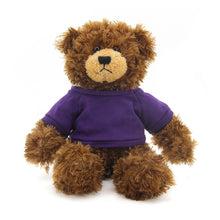 Brandon Chocolate Teddy Bear - 11