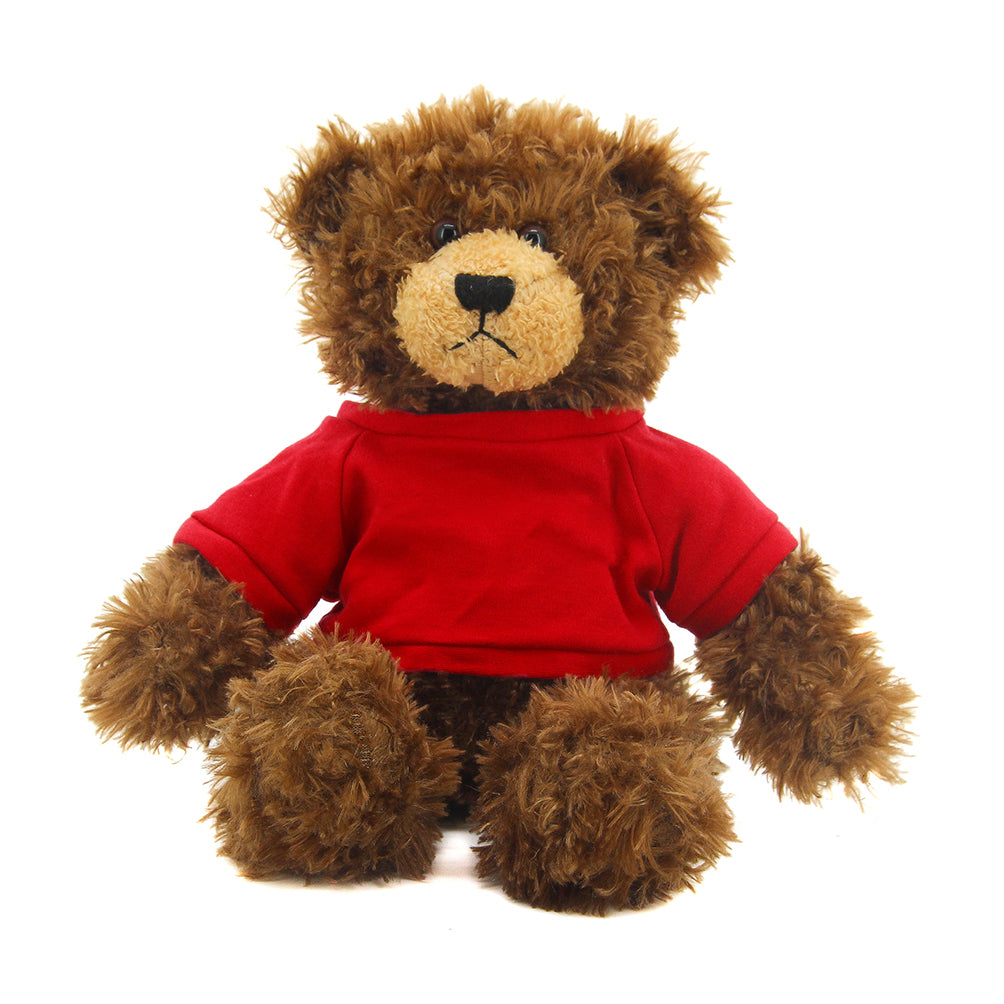 Brandon Chocolate Teddy Bear - 11"