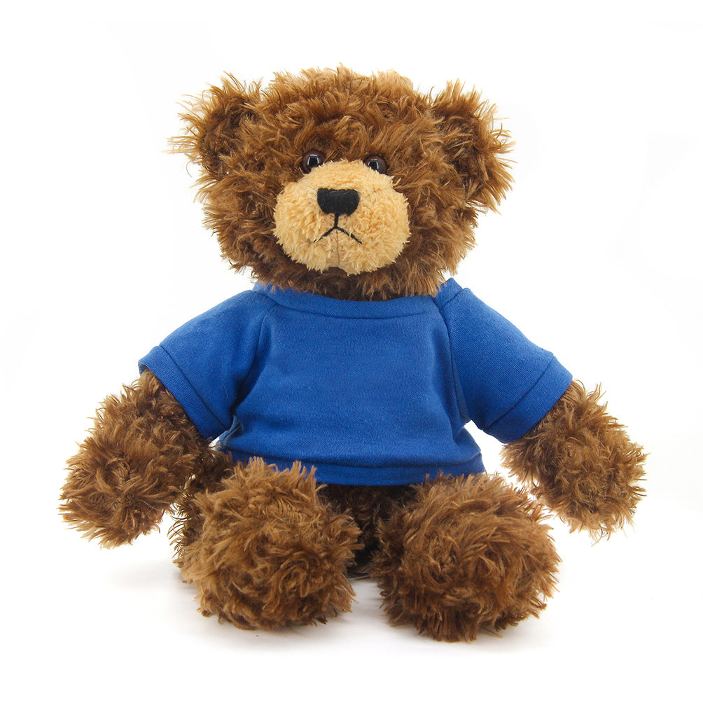 Brandon Chocolate Teddy Bear - 11"