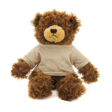 Brandon Chocolate Teddy Bear - 11