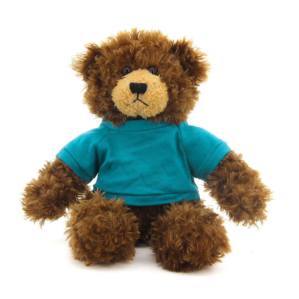 Brandon Chocolate Teddy Bear - 11"