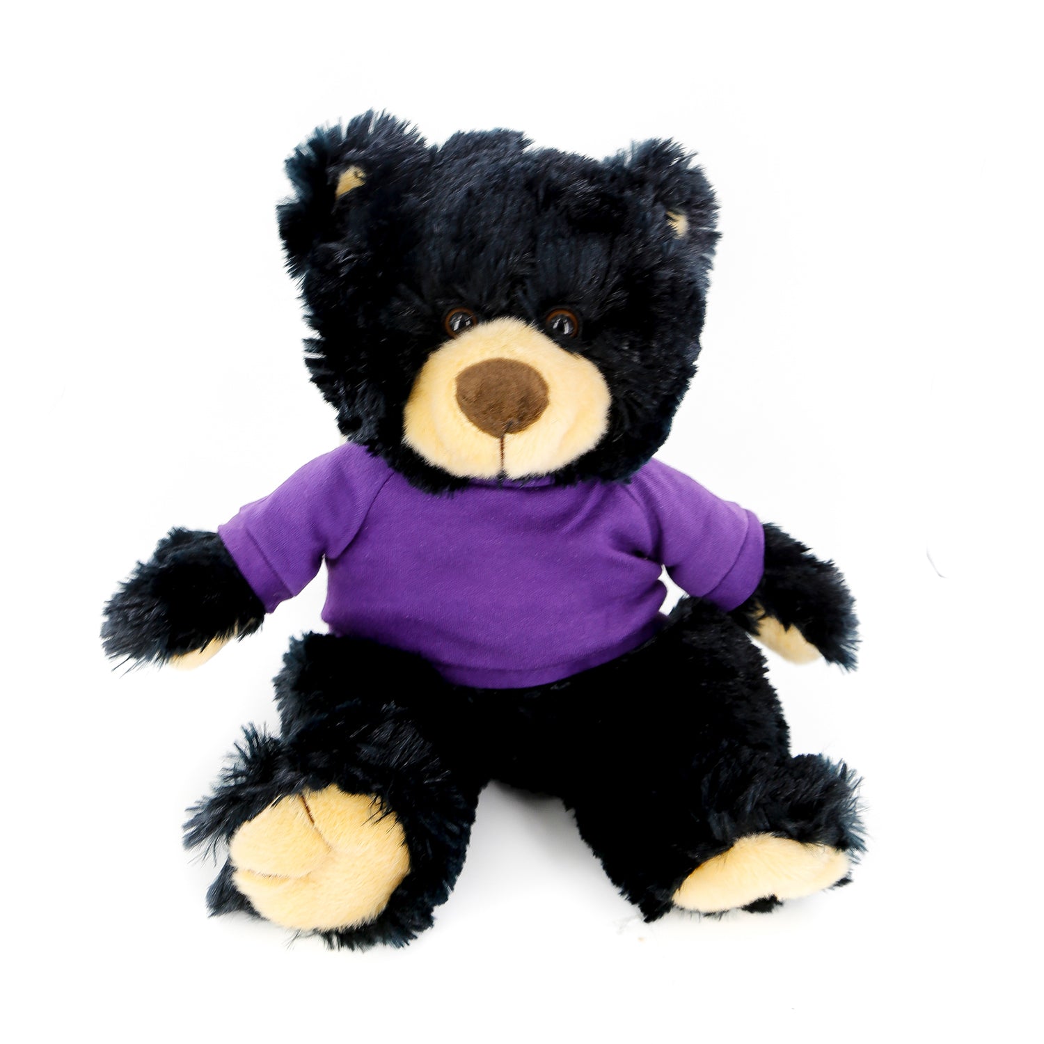 Noah Bear Black 12"