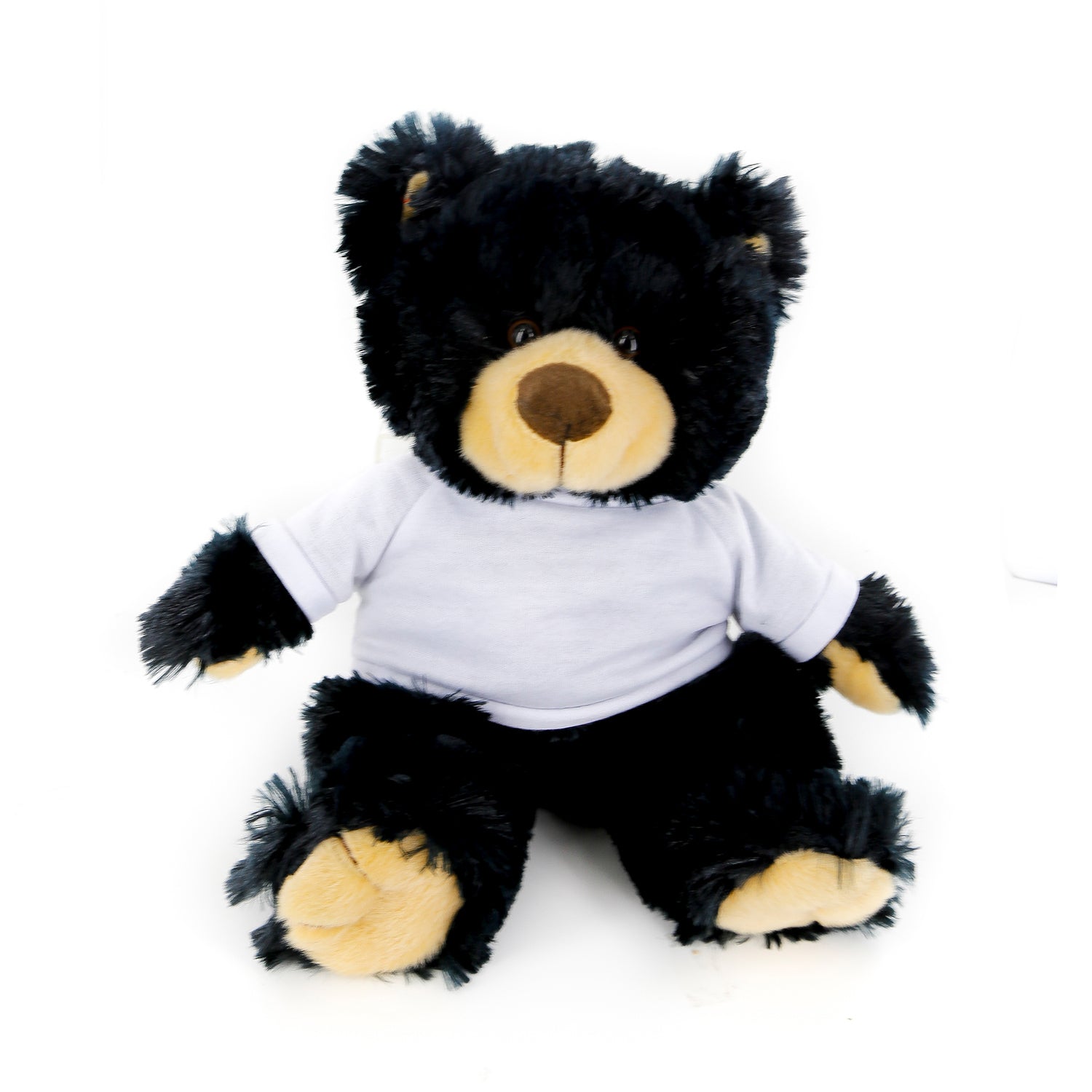 Noah Bear Black 12"