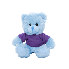 Blue Teddy Bear with Personalized Shirt 11