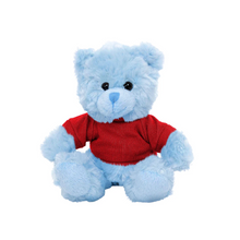 Blue Teddy Bear with Personalized Shirt 11