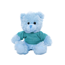 Blue Teddy Bear with Personalized Shirt 11