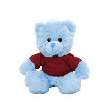 Blue Teddy Bear with Personalized Shirt 11