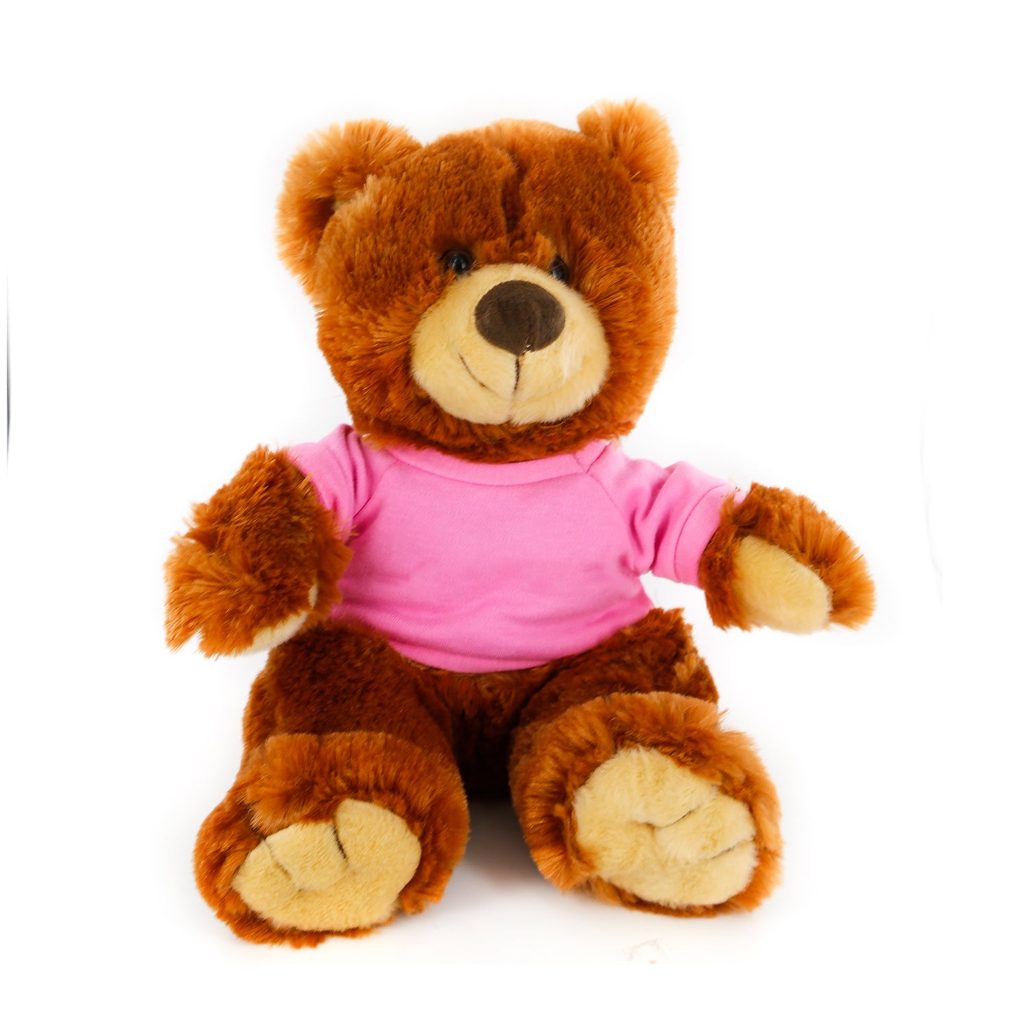 Honey Noah Bear 12"