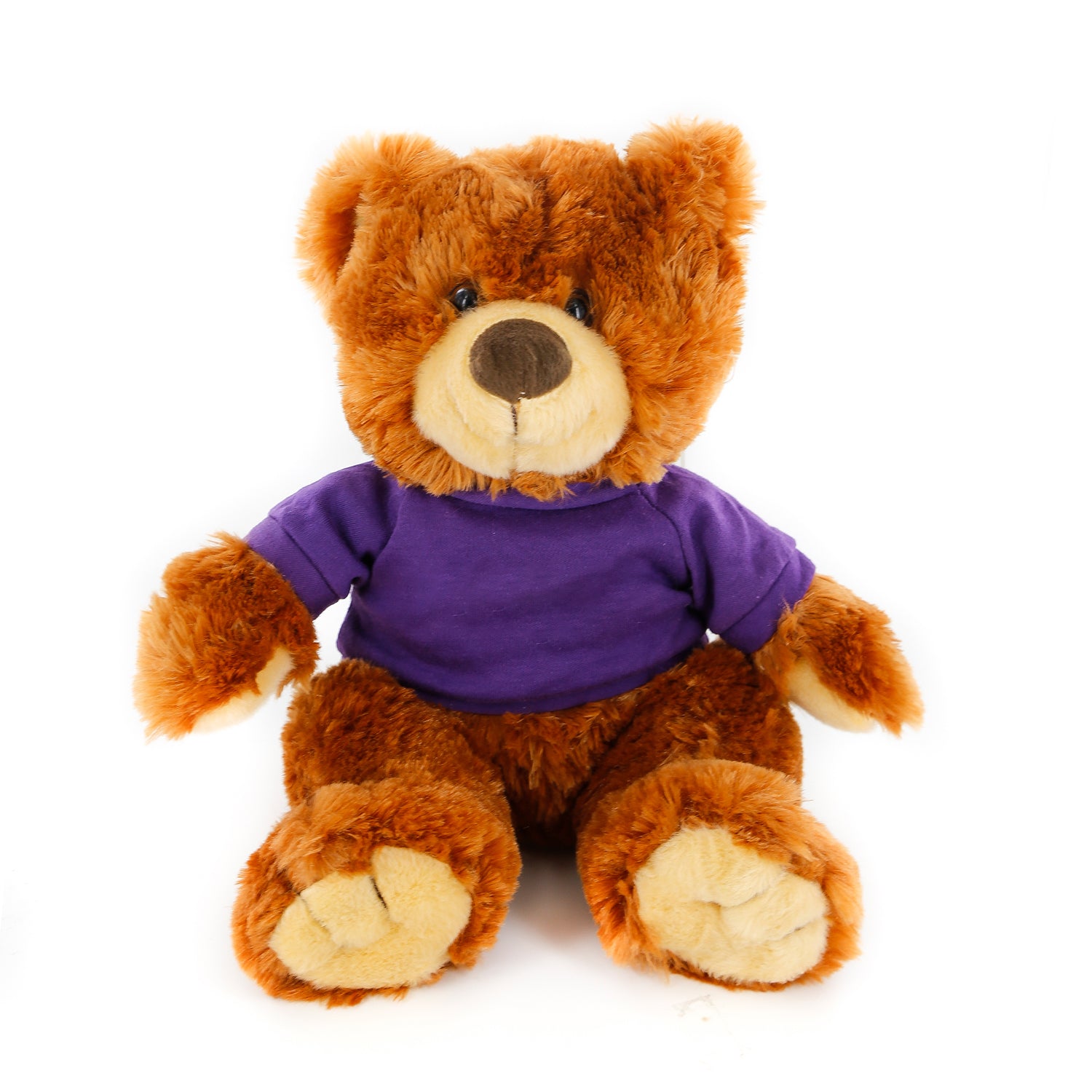 Honey Noah Bear 12"