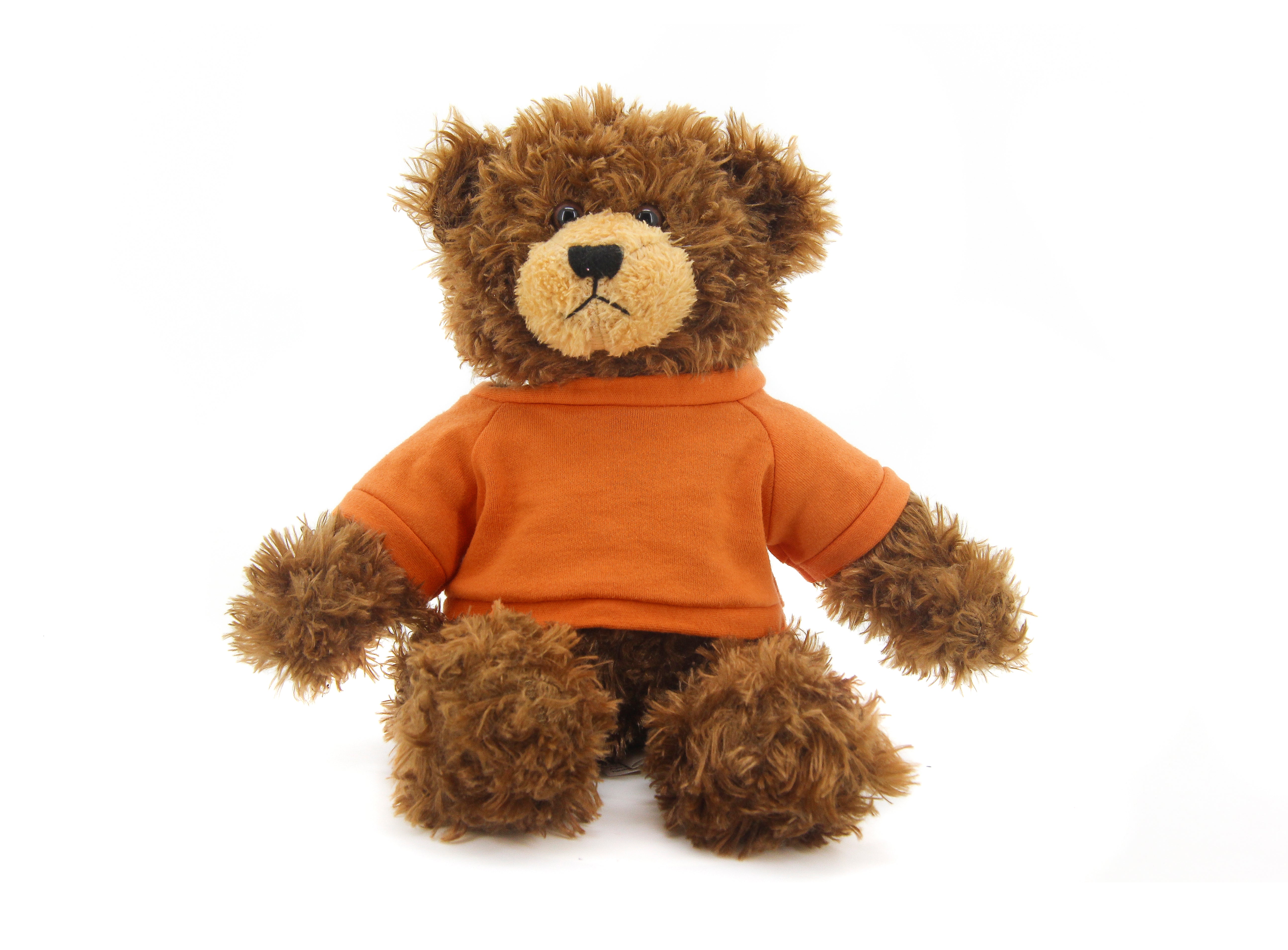 Brandon Beige Bear with Shirt 12"