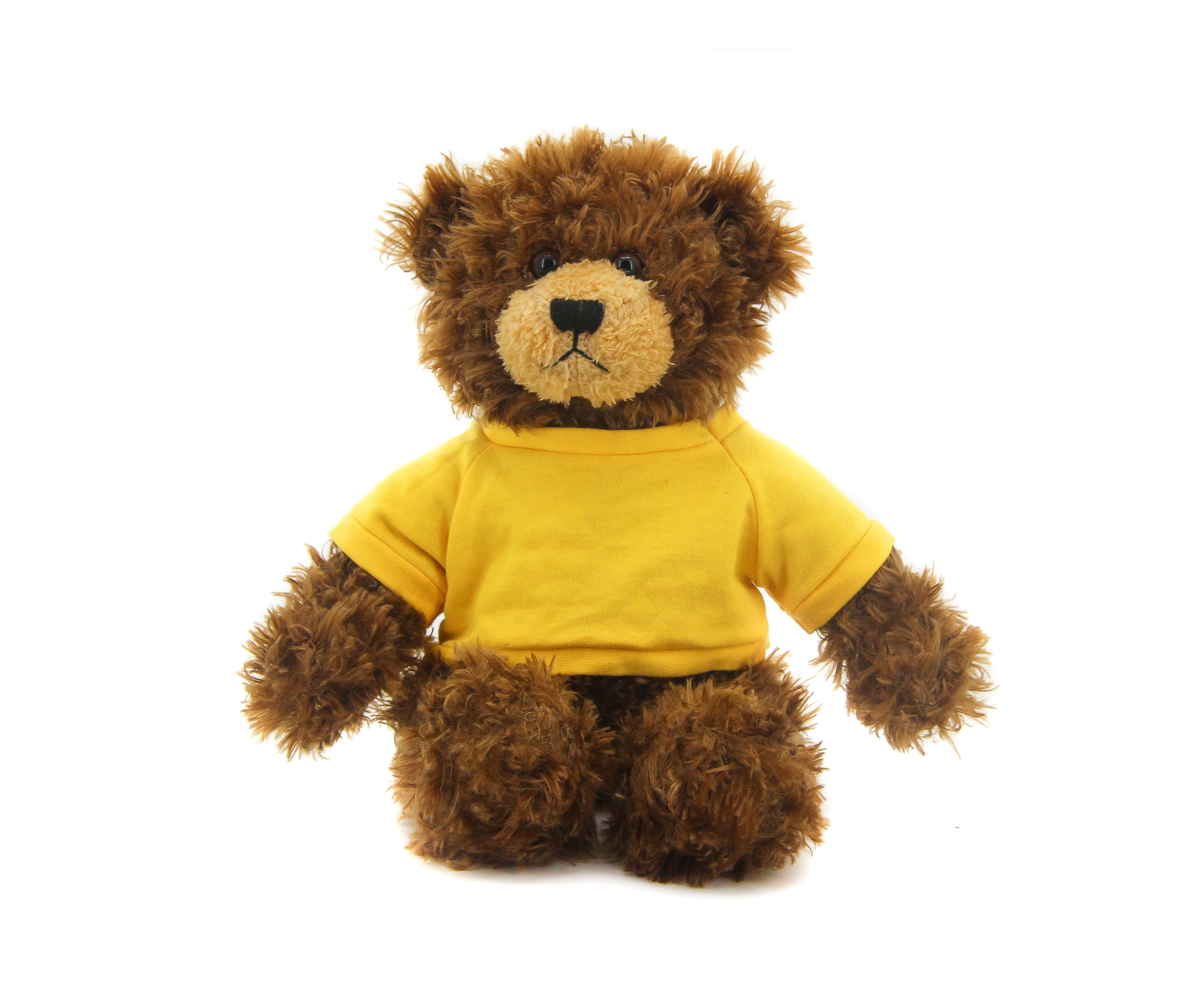 Brandon Beige Bear with Shirt 12"