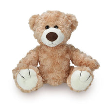 Logan The Teddy Bears 12