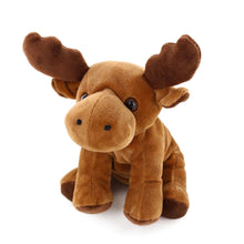 Beanie Moose 7