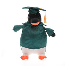 Graduation 2024 Penguin stuffed animals 12