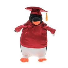 Graduation 2024 Penguin stuffed animals 12